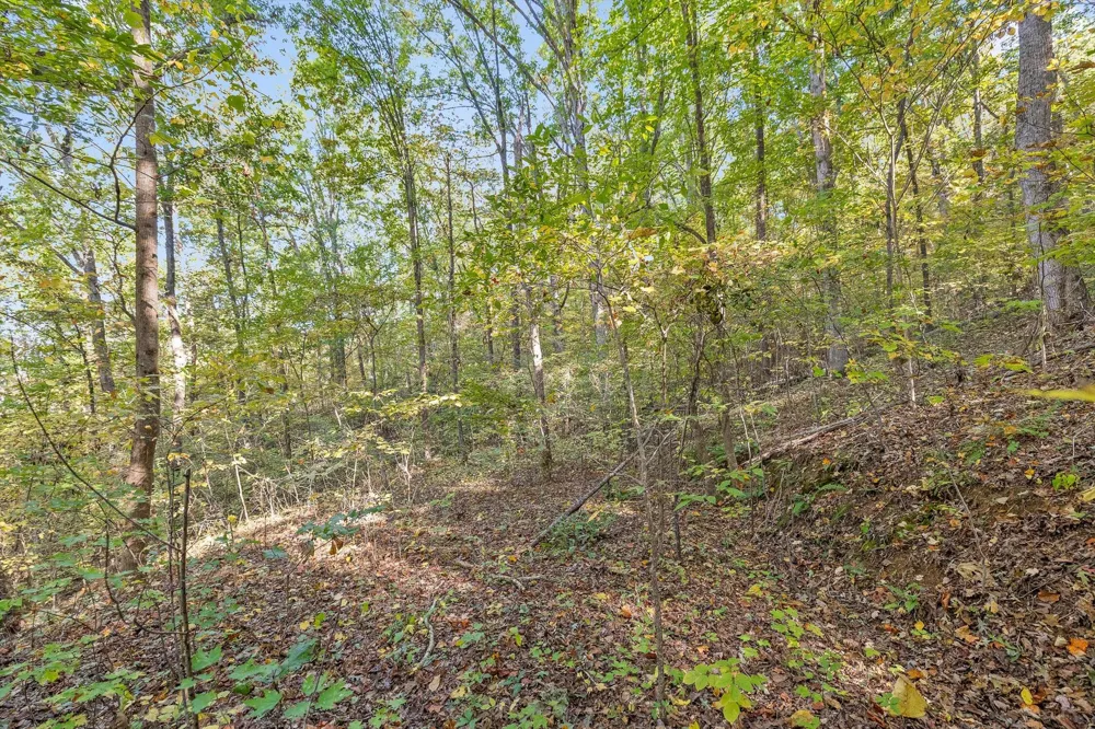 Inman Street Ringgold, GA 30736