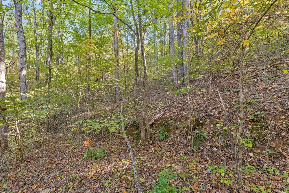 Inman Street Ringgold, GA 30736