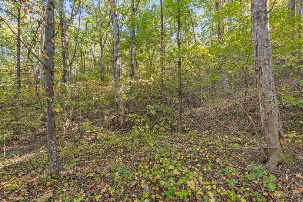 Inman Street Ringgold, GA 30736