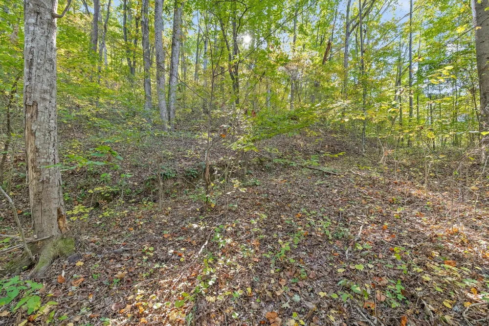 Inman Street Ringgold, GA 30736