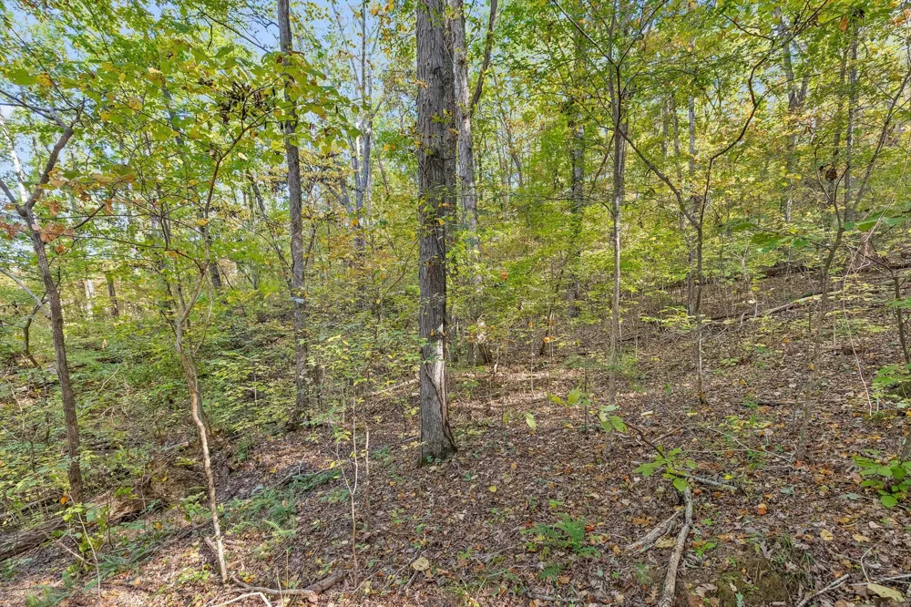 Inman Street Ringgold, GA 30736