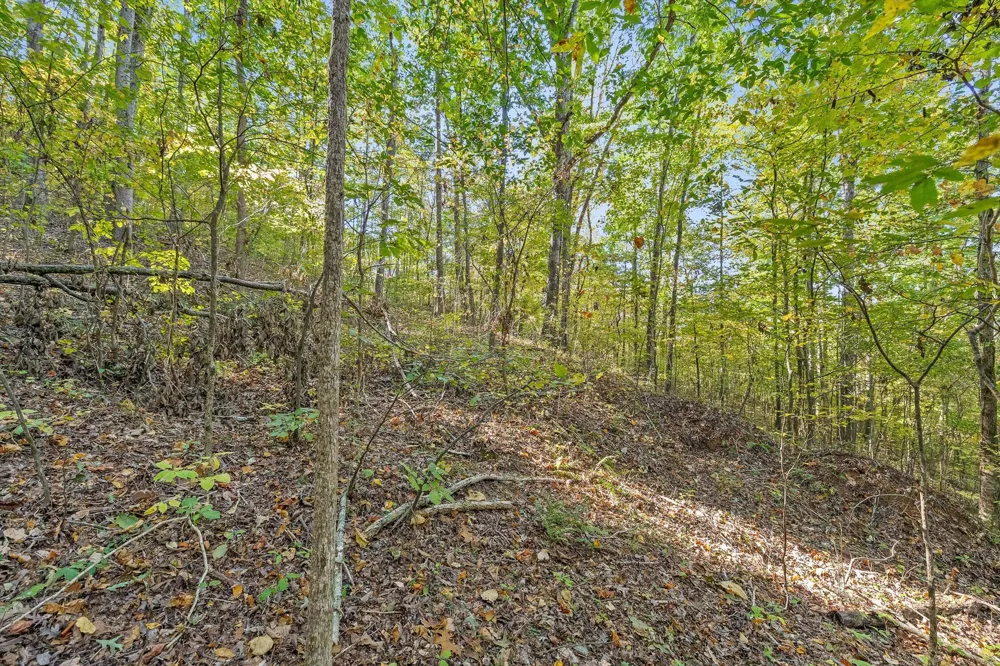 Inman Street Ringgold, GA 30736