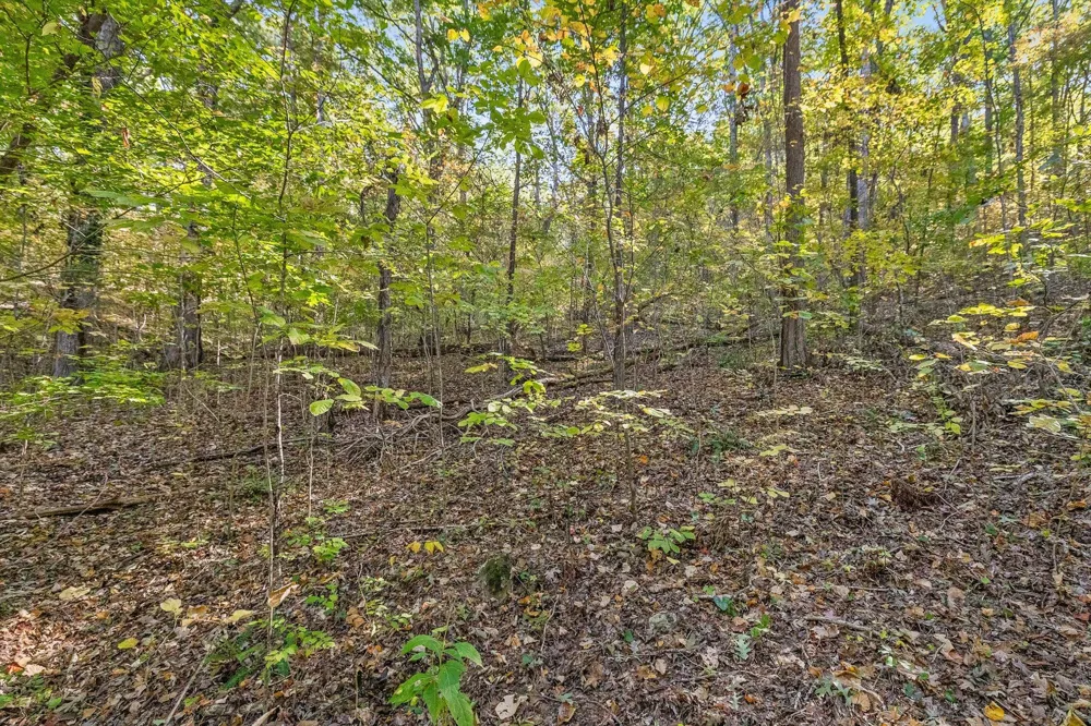 Inman Street Ringgold, GA 30736