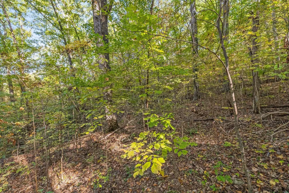 Inman Street Ringgold, GA 30736
