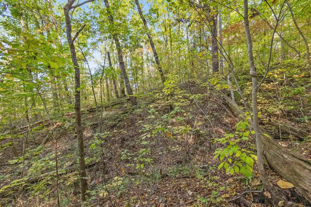 Inman Street Ringgold, GA 30736