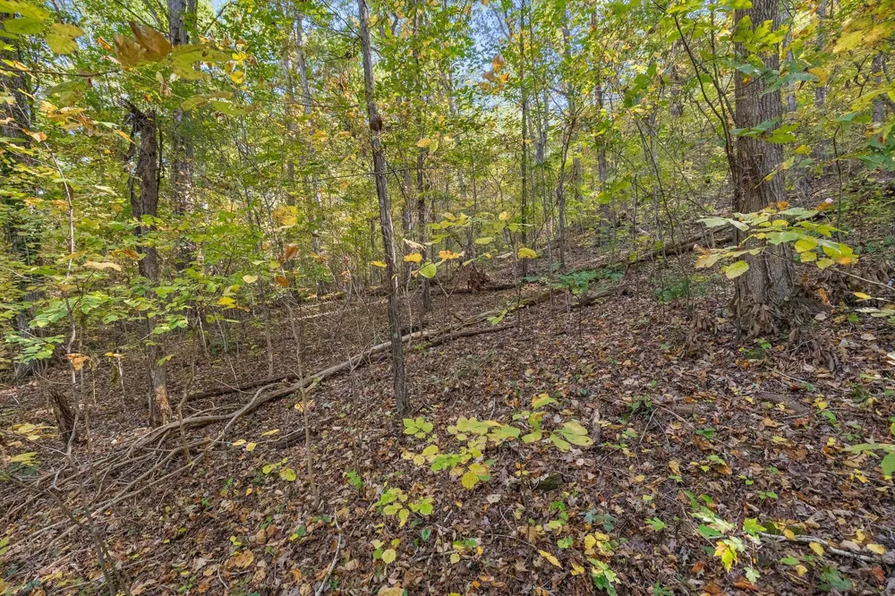 Inman Street Ringgold, GA 30736