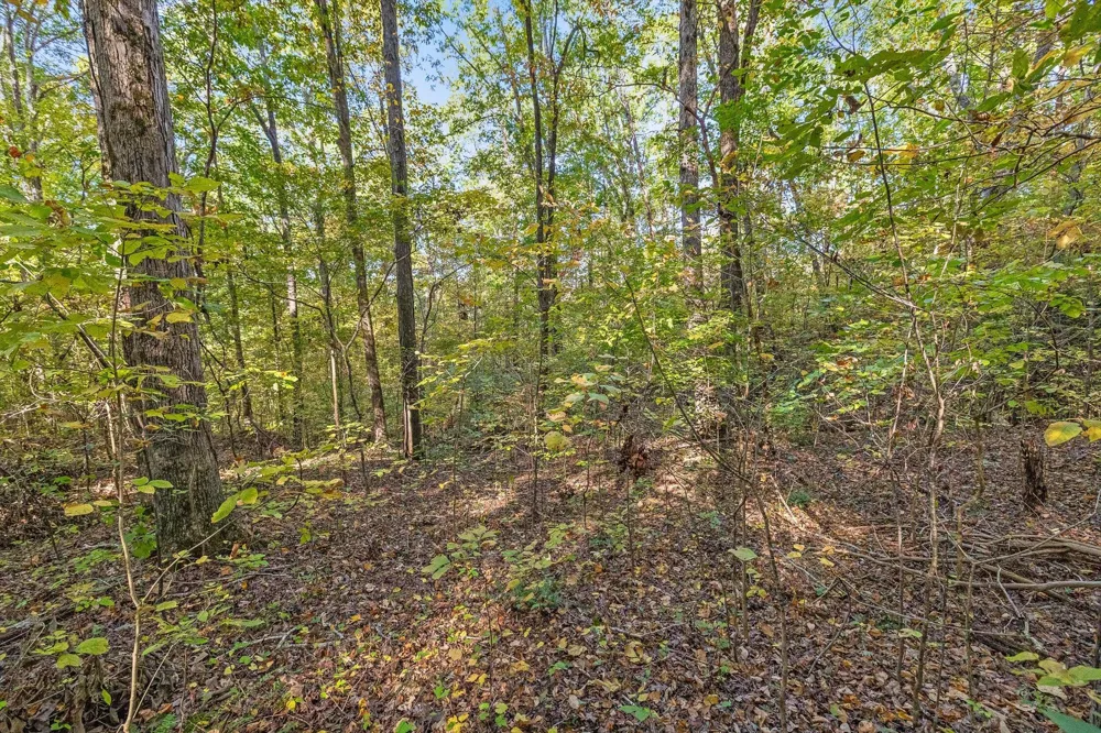 Inman Street Ringgold, GA 30736