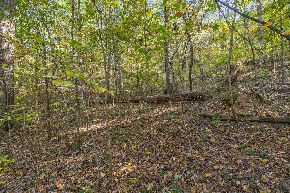 Inman Street Ringgold, GA 30736