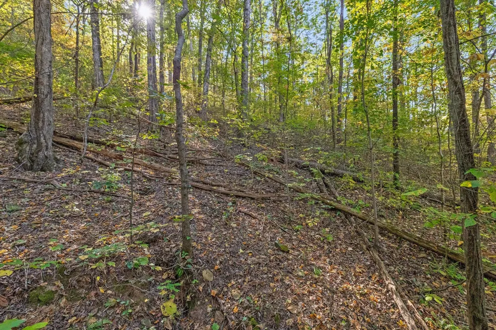 Inman Street Ringgold, GA 30736