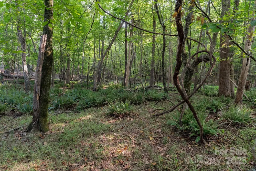 1012 S Oakshire Lane #7 Waxhaw, NC 28173