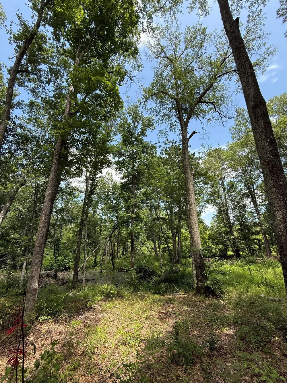 Pr 1332 Elysian Fields, TX 75642