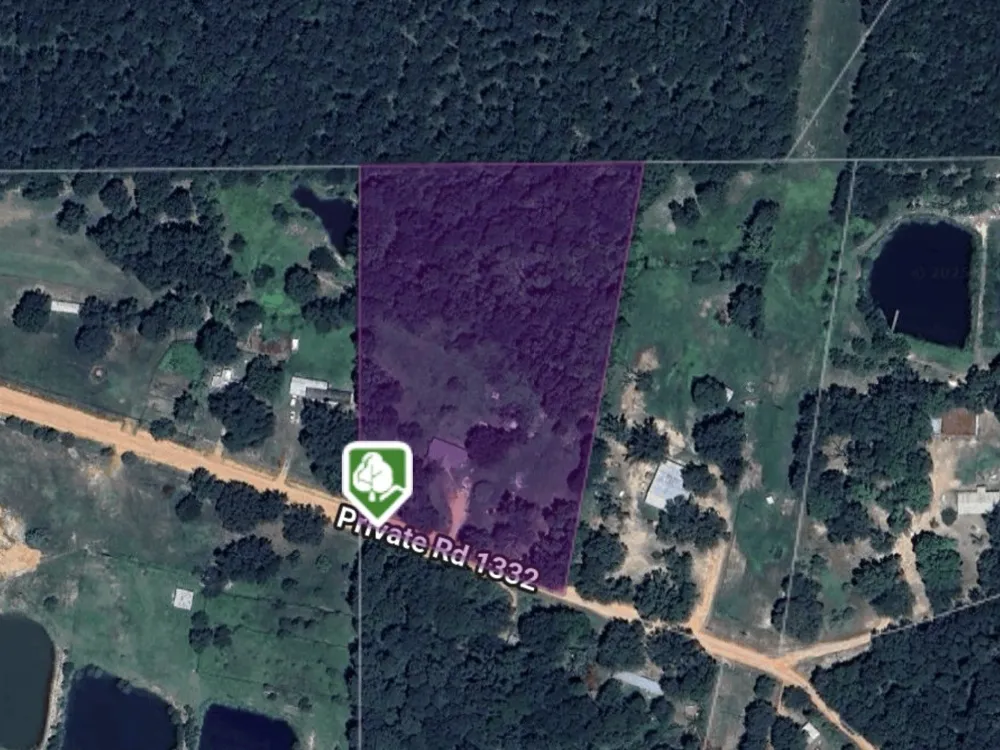 Pr 1332 Elysian Fields, TX 75642