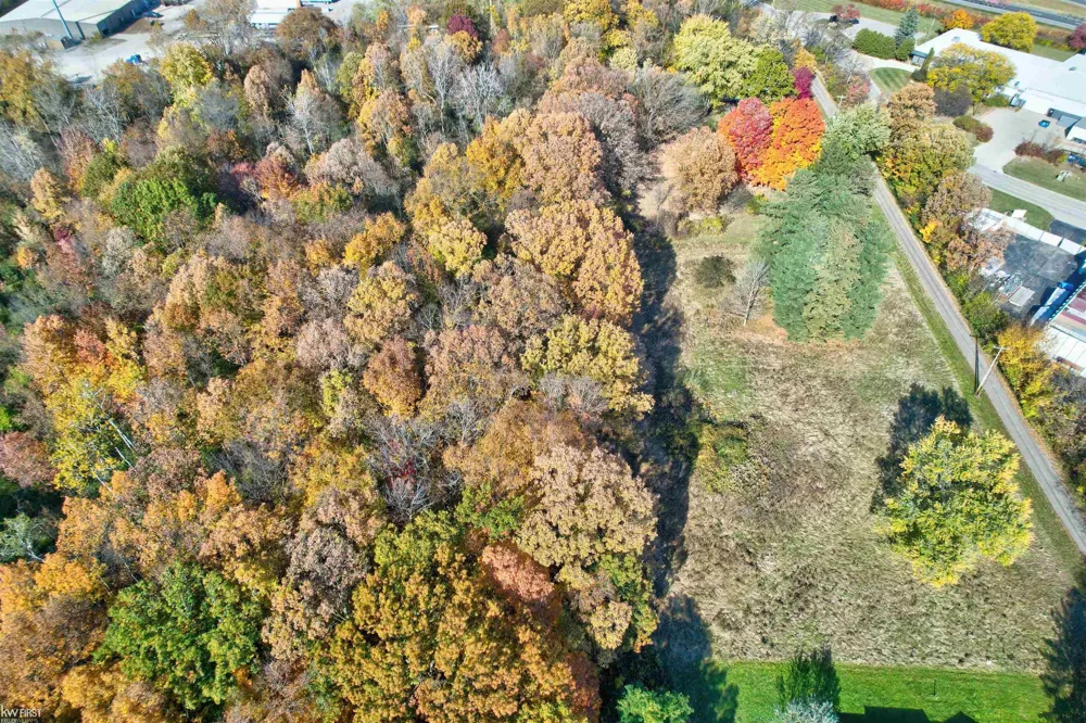 Taylor Drive Mundy Township, MI 48507