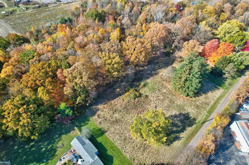 Taylor Drive Mundy Township, MI 48507
