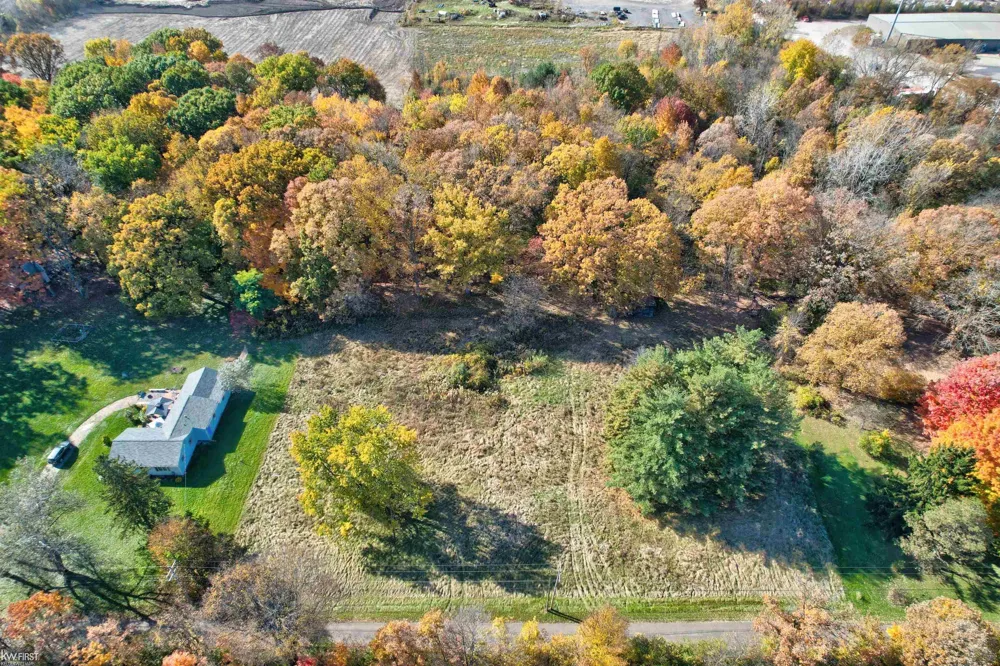 Taylor Drive Mundy Township, MI 48507