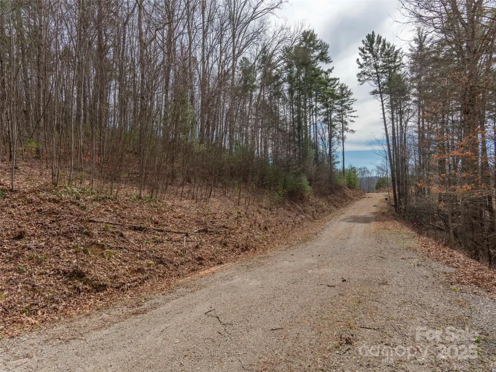 00 Wildlife Drive #7 Clyde, NC 28721