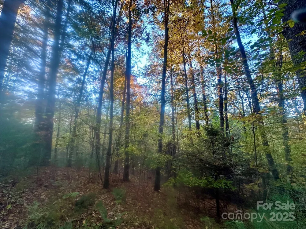00 Wildlife Drive #7 Clyde, NC 28721