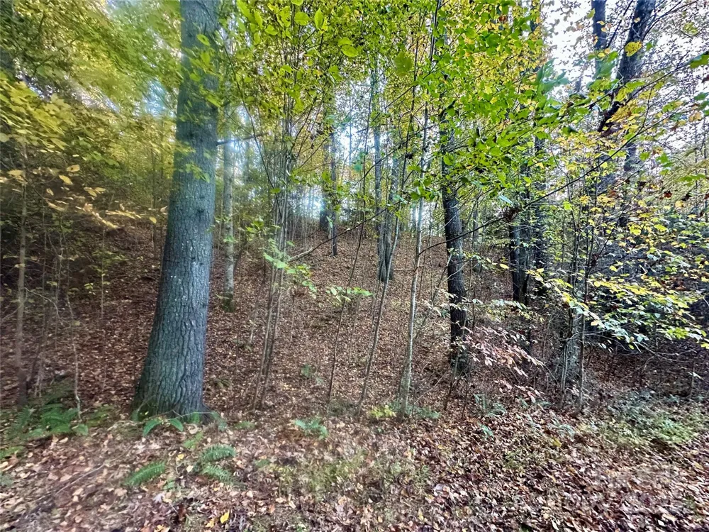 00 Wildlife Drive #7 Clyde, NC 28721