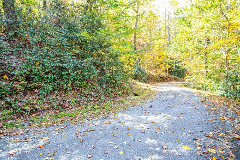 TBD Reserve Road #9A Brevard, NC 28712
