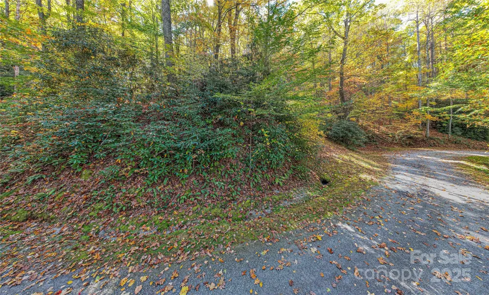 TBD Reserve Road #9A Brevard, NC 28712