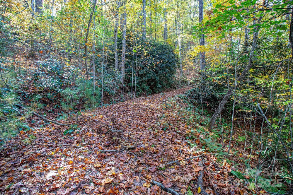 TBD Reserve Road #9A Brevard, NC 28712