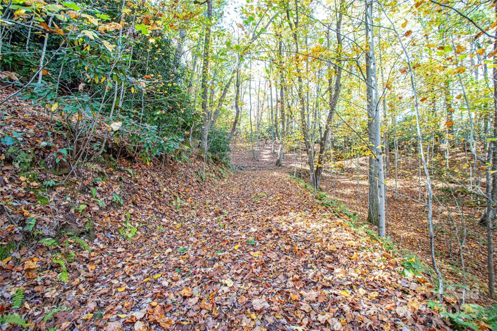 TBD Reserve Road #9A Brevard, NC 28712