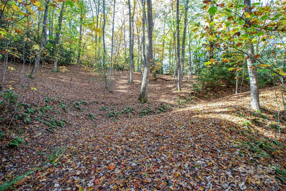 TBD Reserve Road #9A Brevard, NC 28712