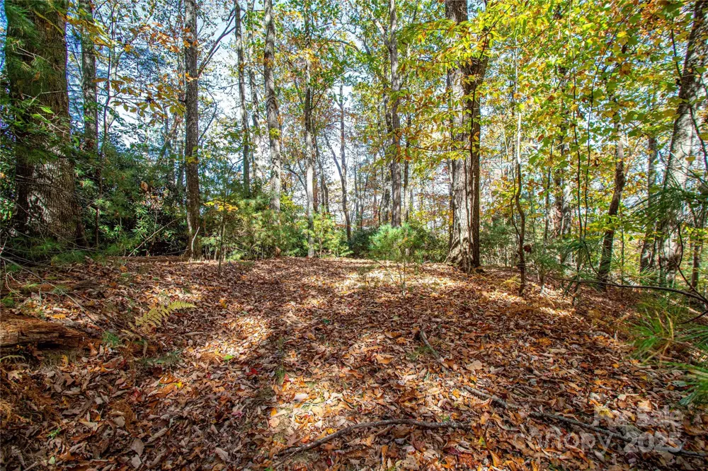 TBD Reserve Road #9A Brevard, NC 28712