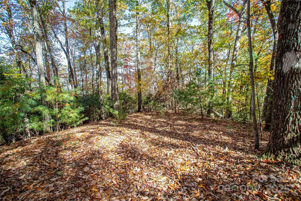TBD Reserve Road #9A Brevard, NC 28712