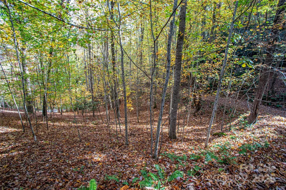 TBD Reserve Road #9A Brevard, NC 28712