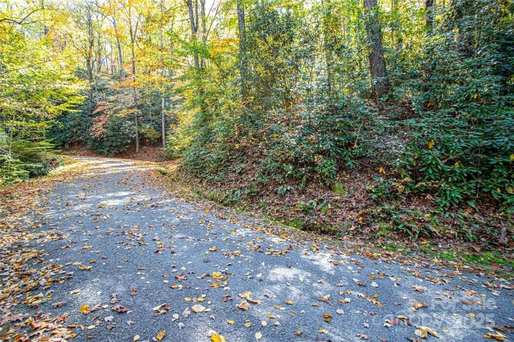 TBD Reserve Road #9A Brevard, NC 28712