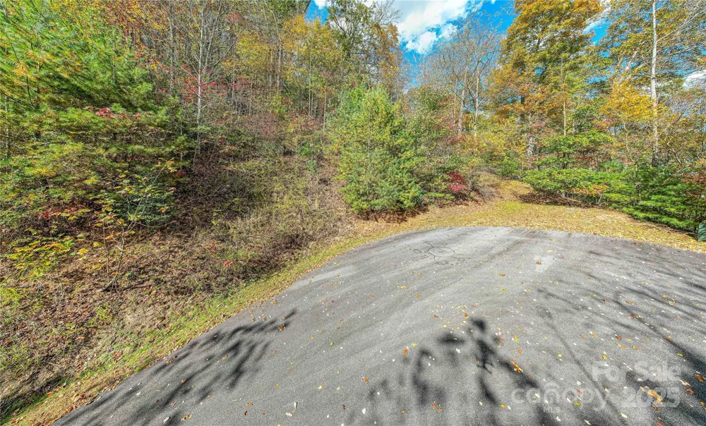 TBD High Point Trail #21 Brevard, NC 28712