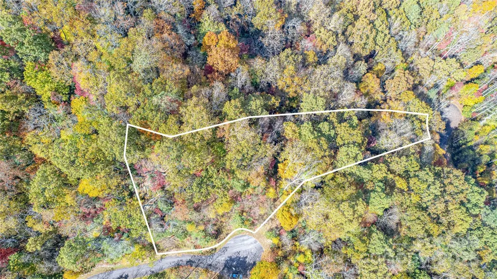TBD High Point Trail #21 Brevard, NC 28712