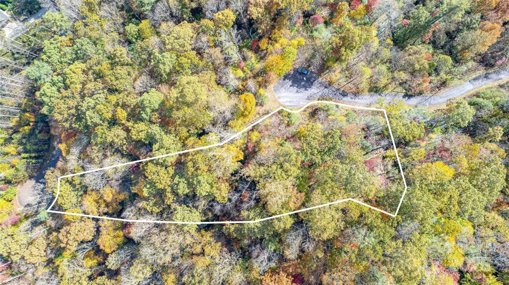 TBD High Point Trail #21 Brevard, NC 28712