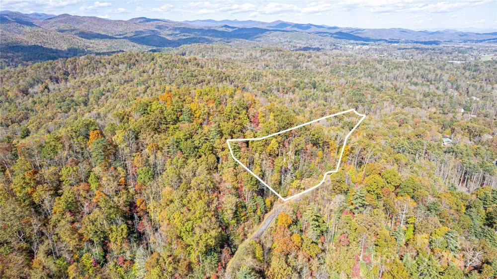 TBD High Point Trail #21 Brevard, NC 28712