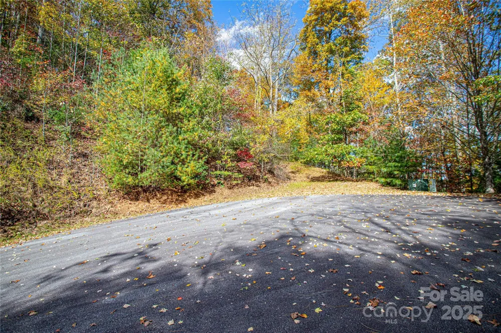 TBD High Point Trail #21 Brevard, NC 28712