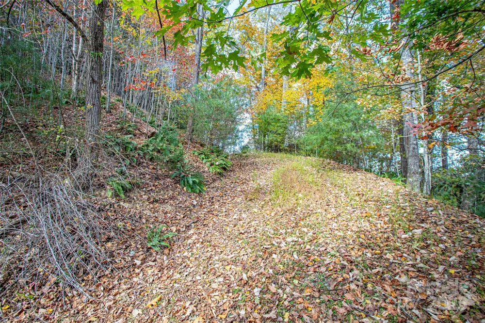 TBD High Point Trail #21 Brevard, NC 28712