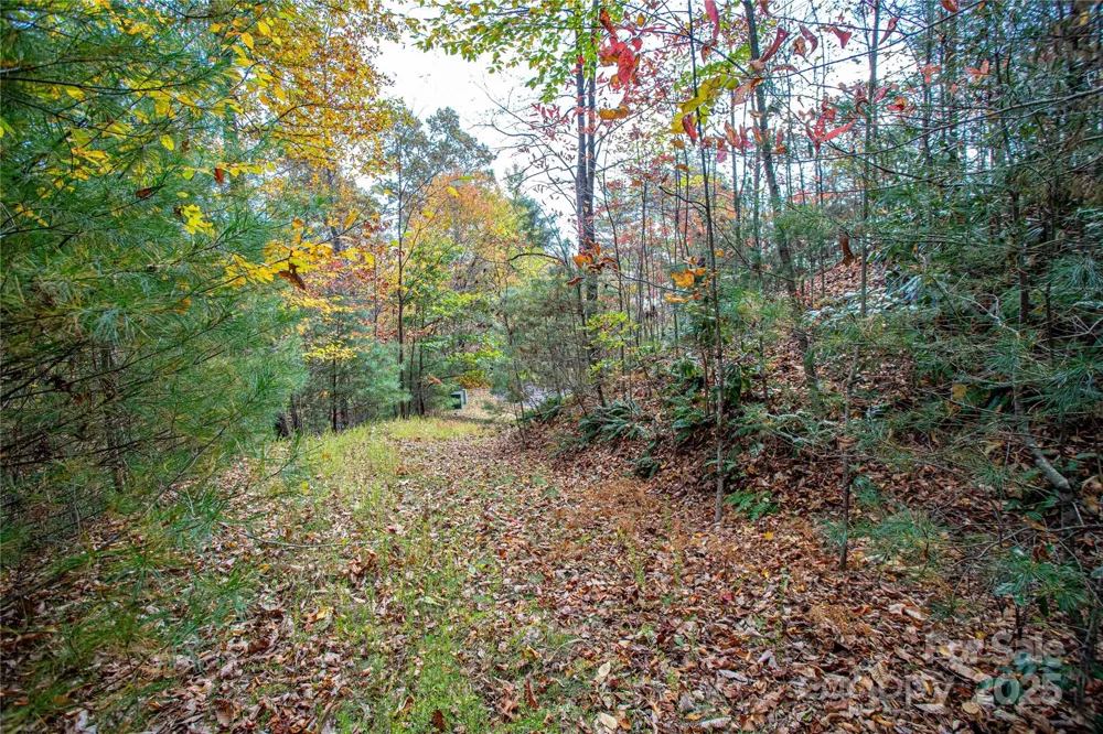 TBD High Point Trail #21 Brevard, NC 28712