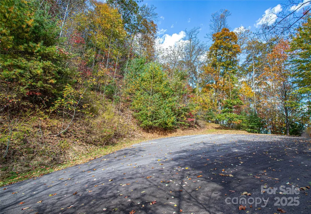 TBD High Point Trail #21 Brevard, NC 28712
