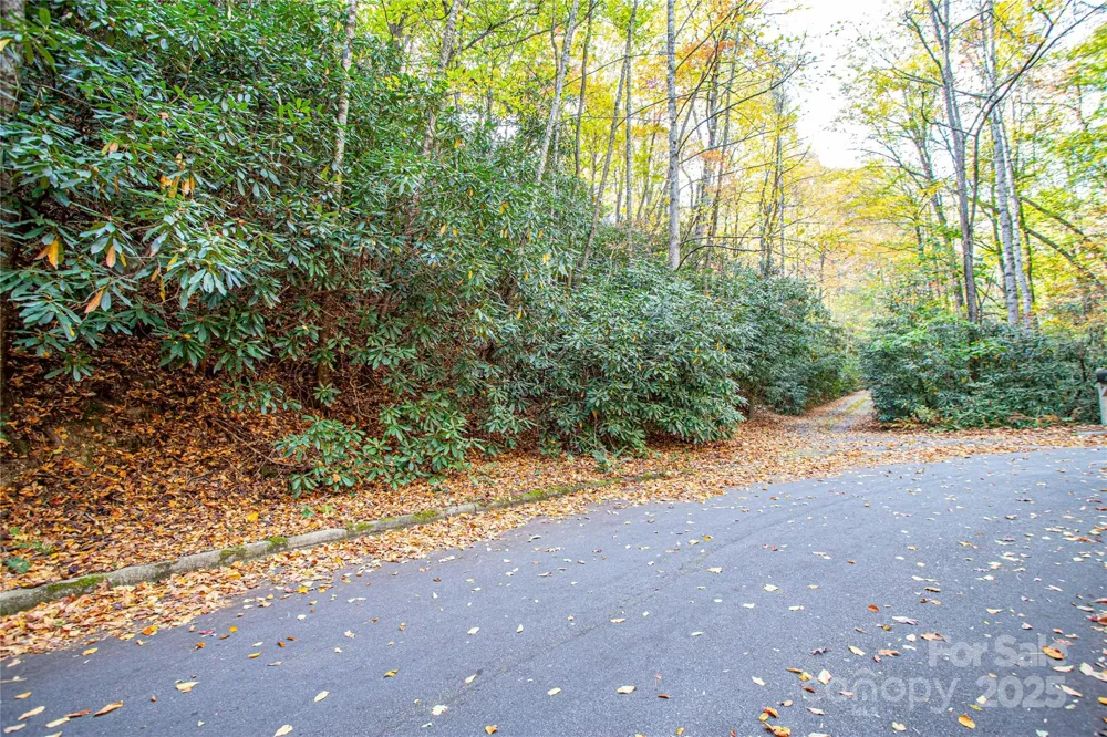 TBD Stone Drive #13 Brevard, NC 28712