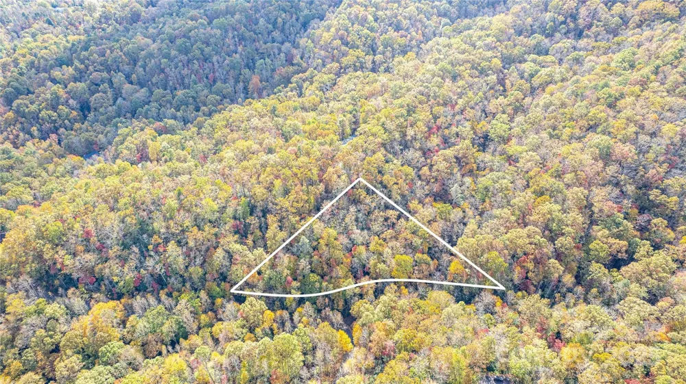 TBD Stone Drive #13 Brevard, NC 28712