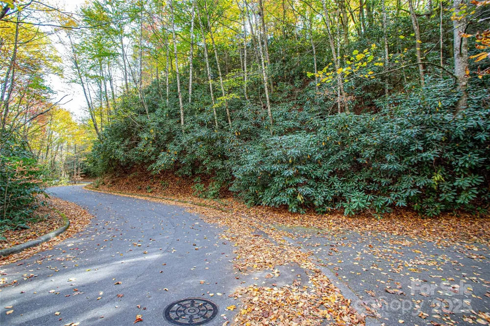 TBD Stone Drive #13 Brevard, NC 28712