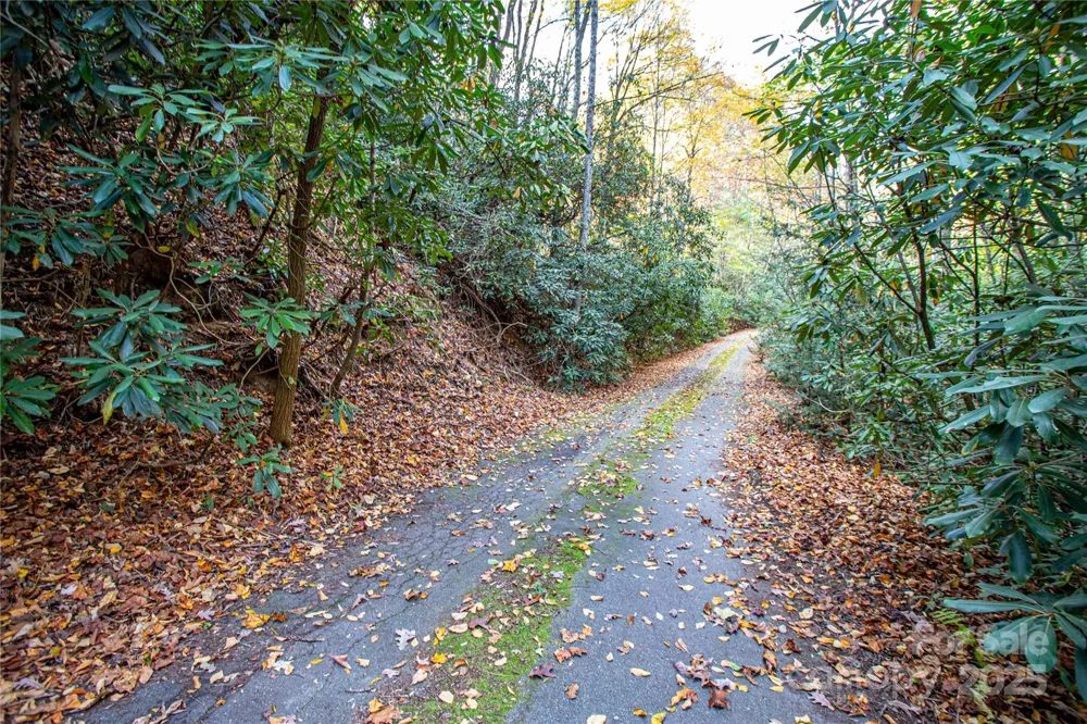 TBD Stone Drive #13 Brevard, NC 28712
