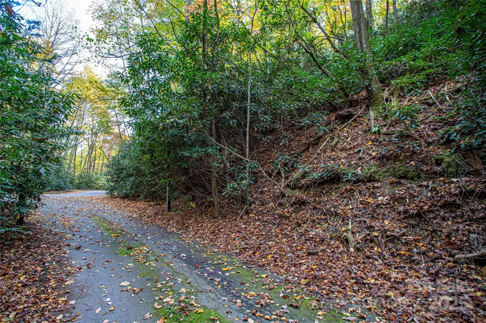 TBD Stone Drive #13 Brevard, NC 28712
