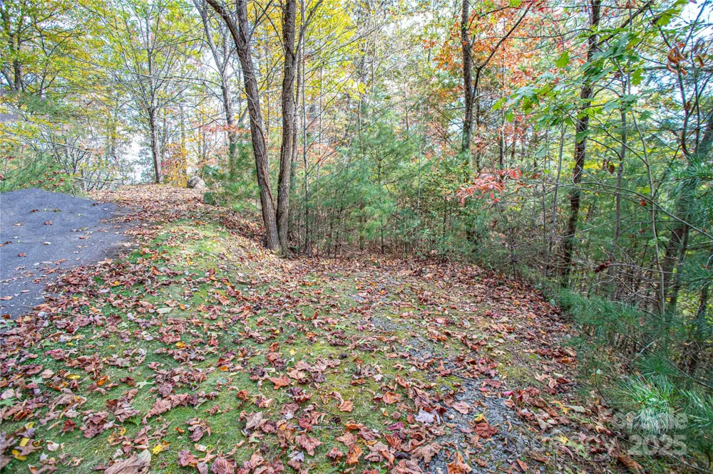 TBD High Point Trail #24 Brevard, NC 28712