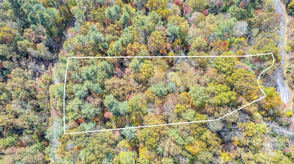 TBD High Point Trail #24 Brevard, NC 28712