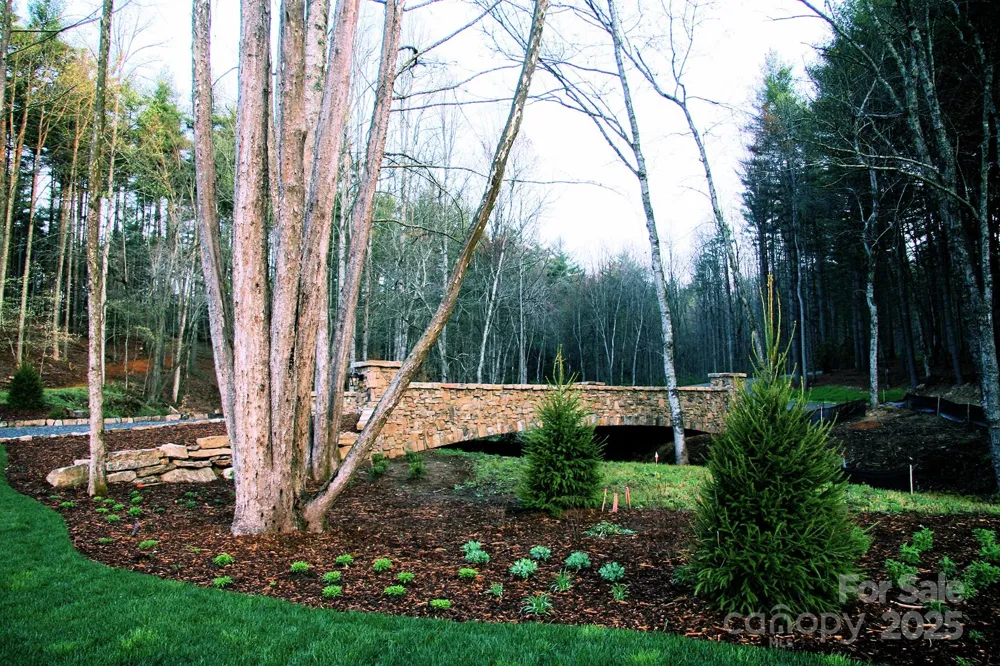 TBD High Point Trail #24 Brevard, NC 28712