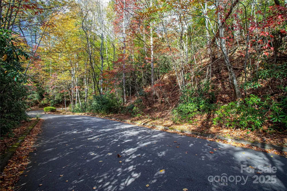 TBD Stone Drive #11 Brevard, NC 28712