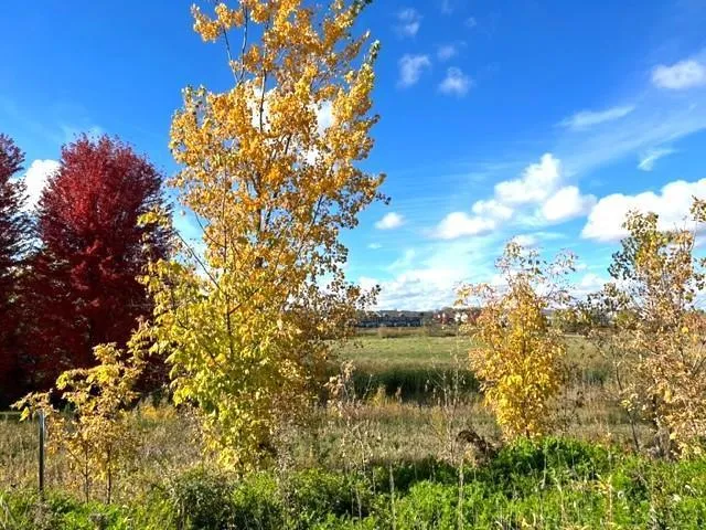 837 Meander Ct. Medina, MN 55340