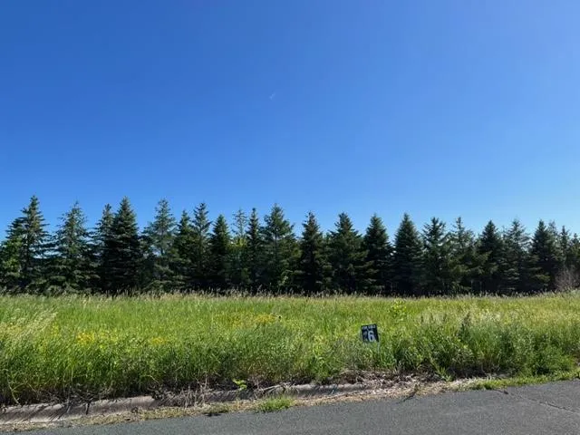 837 Meander Ct. Medina, MN 55340
